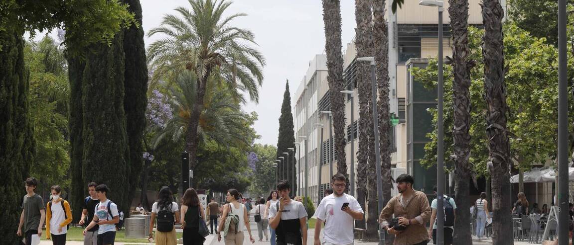 mejores y peores barrios de alicante