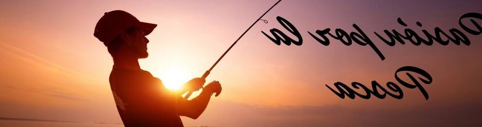 mejores zonas de pesca en el ebro